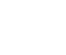 EES